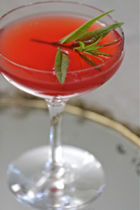 Rhubarb Martini